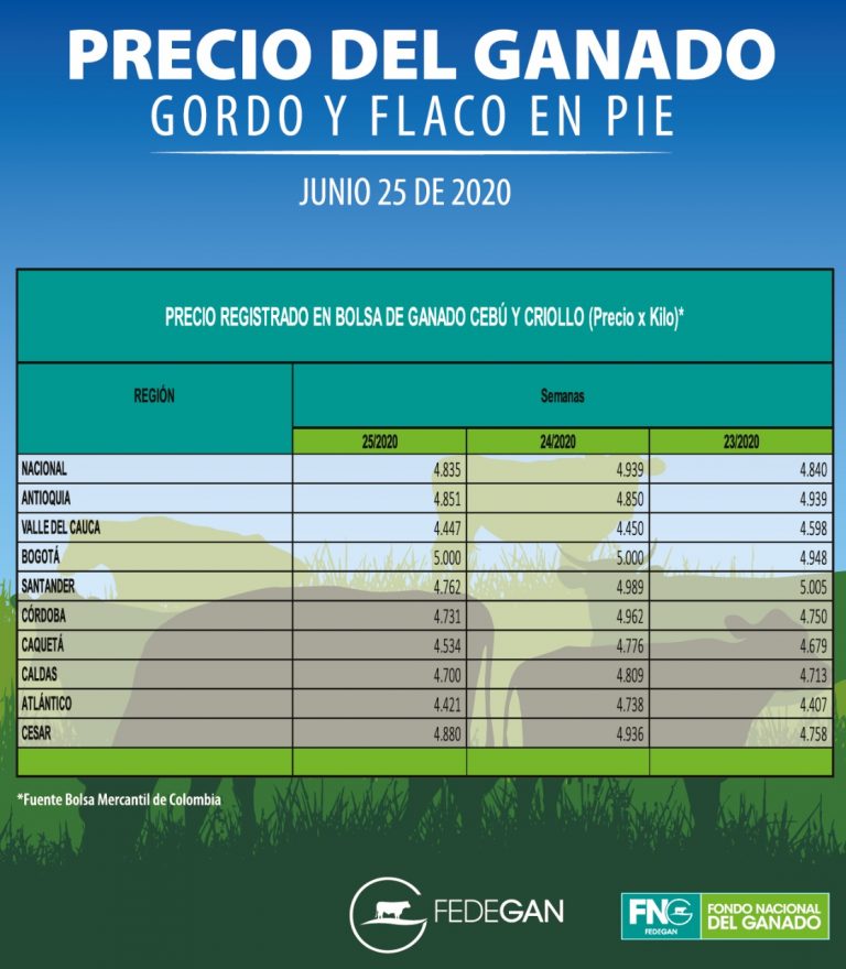 PRECIO DEL GANADO GORDO Y FLACO EN PIE JUNIO 25 DE 2020 (FEDEGAN